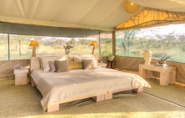 Best Safari Tour Operators for Luxury Experiences 2026 (Kenya Edition) 4 Best Safari Tour Operators for Luxury Experiences 2026 (Kenya Edition) - Kenya Incentives Tours and Safaris LIimited