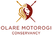 Olare Motorogi Conservancy Logo